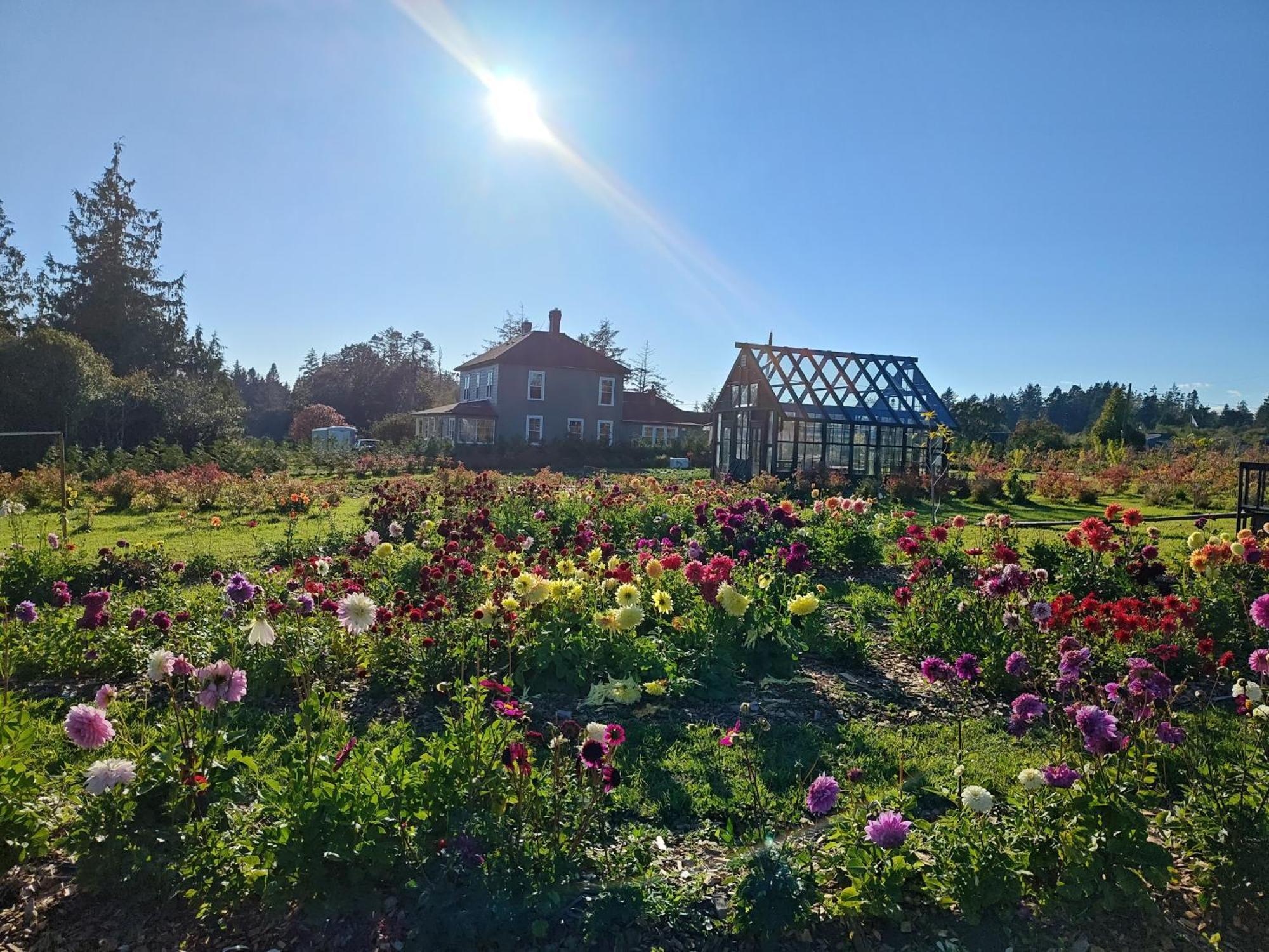 Woodside Farm Country Inn スーク エクステリア 写真