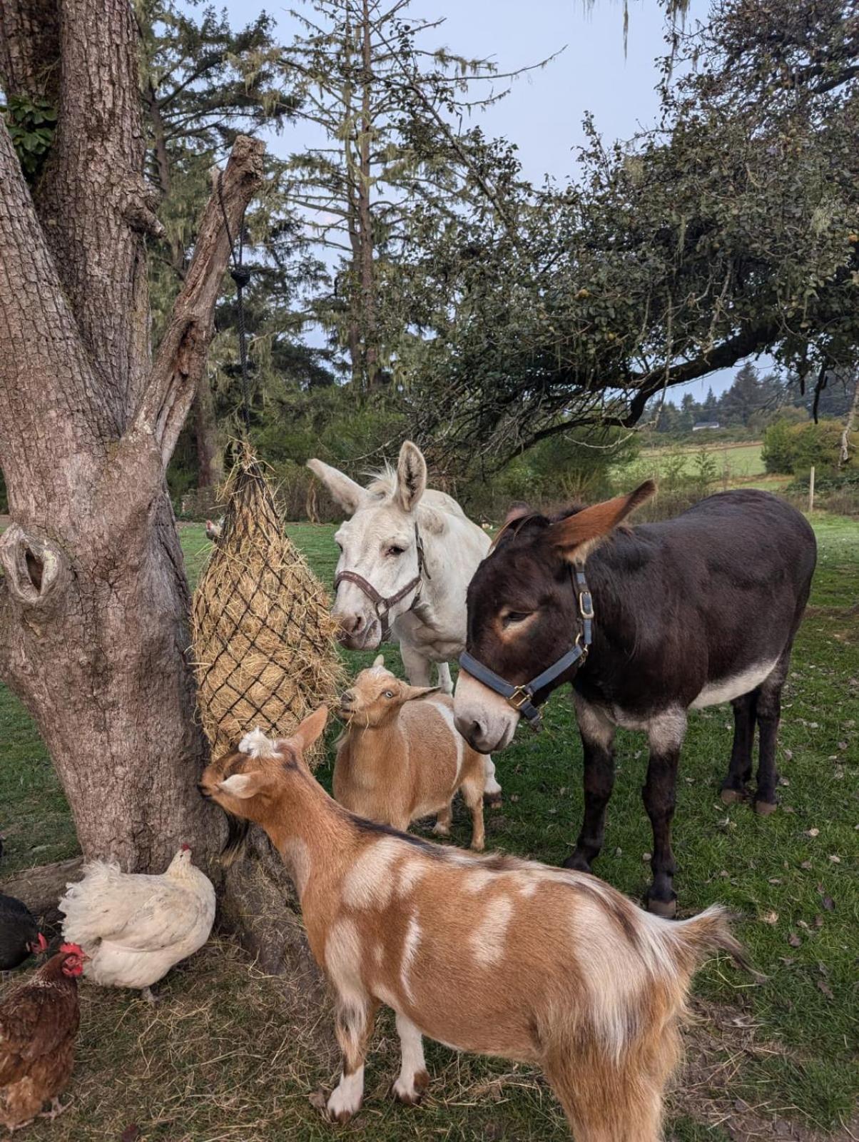 Woodside Farm Country Inn スーク エクステリア 写真