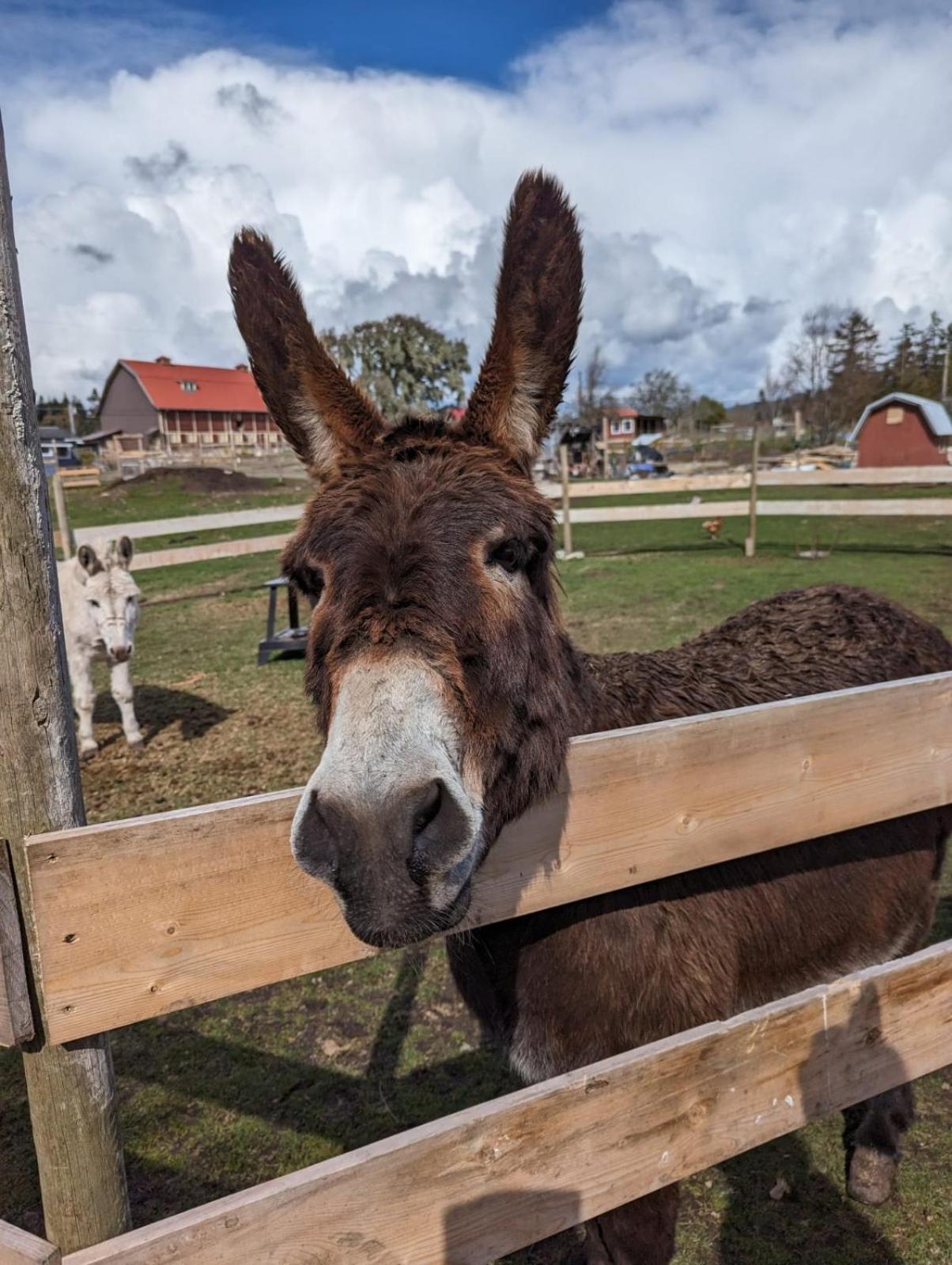 Woodside Farm Country Inn スーク エクステリア 写真