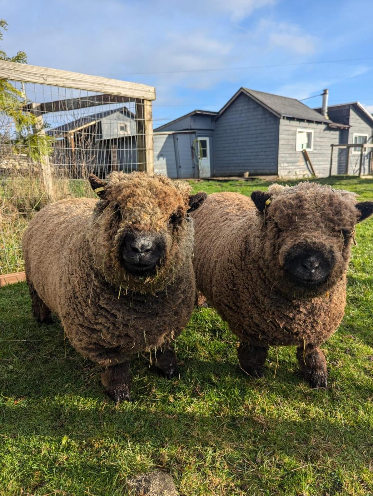 Woodside Farm Country Inn スーク エクステリア 写真